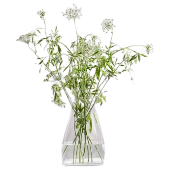 Large Bottle Glass Vase